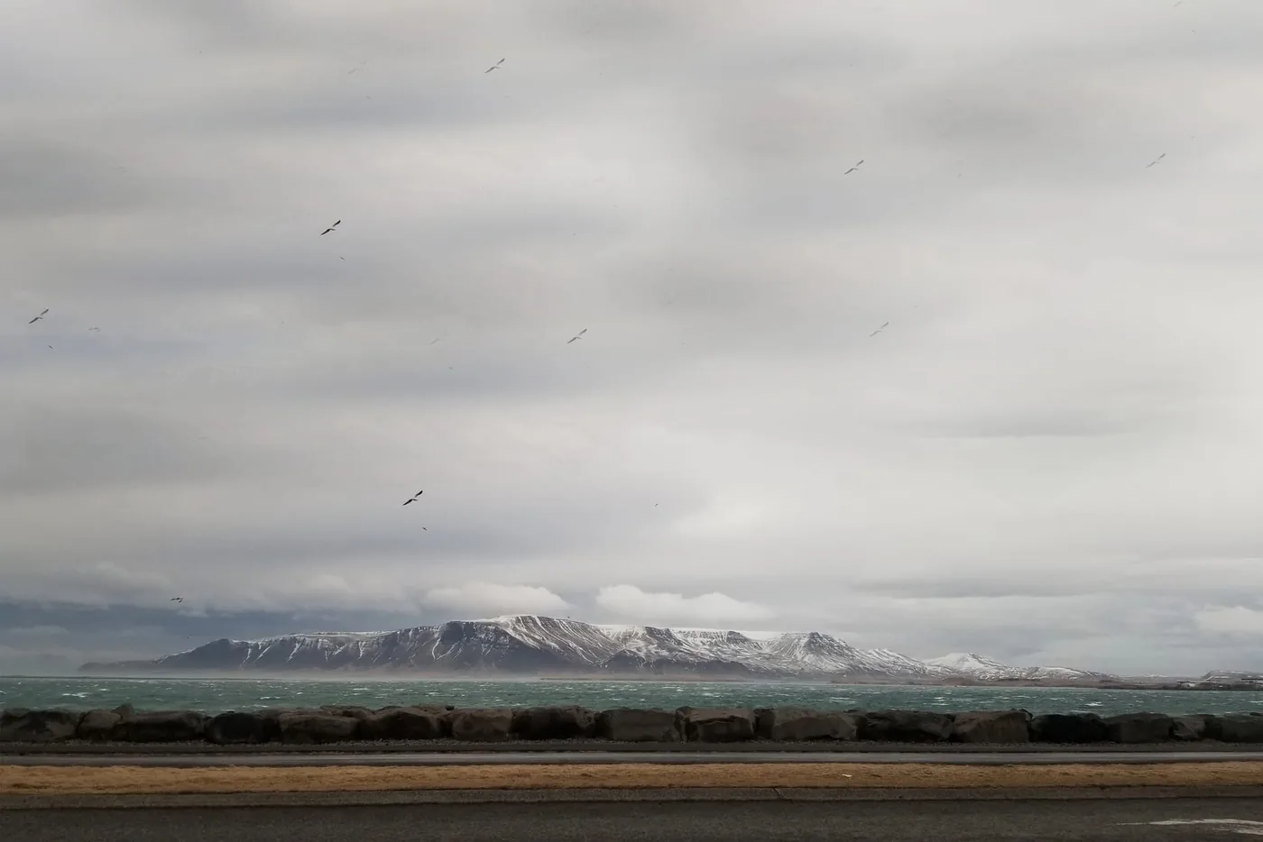 Paysage : montagnes enneigées au-delà d’une étendue d’eau, sous un ciel gris