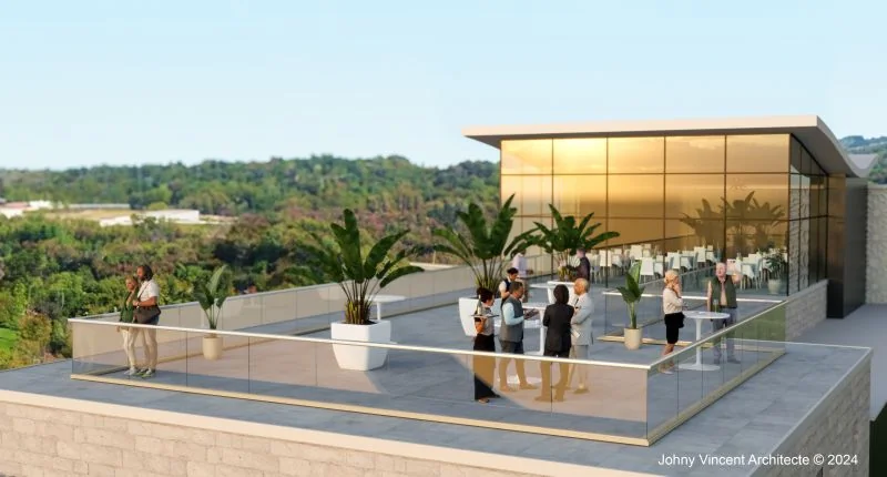 Terrasse sur le toit avec palmiers